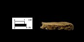 Cross-section of shell-tempered Monongahela body sherd from the Sang Run site 18GA22-2.